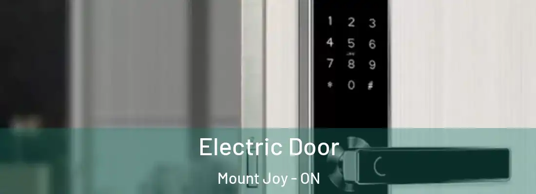  Electric Door Mount Joy - ON