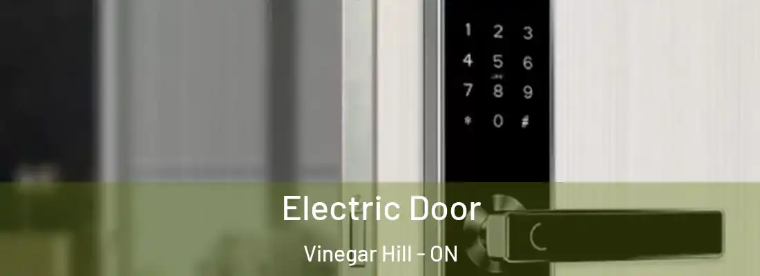  Electric Door Vinegar Hill - ON