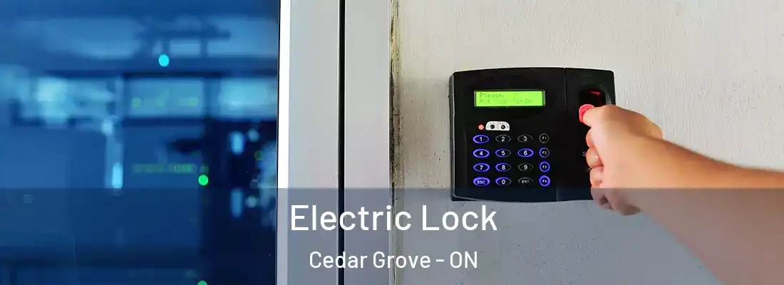  Electric Lock Cedar Grove - ON