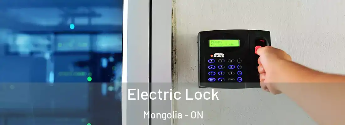  Electric Lock Mongolia - ON