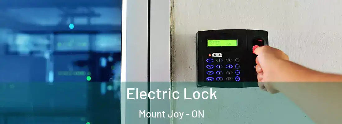  Electric Lock Mount Joy - ON