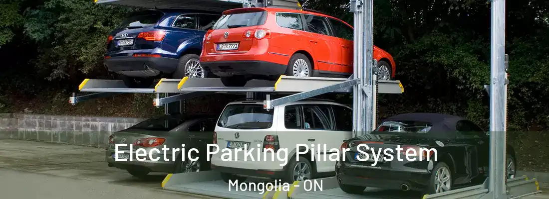  Electric Parking Pillar System Mongolia - ON