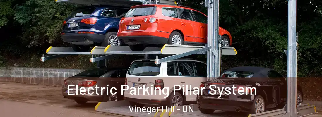  Electric Parking Pillar System Vinegar Hill - ON