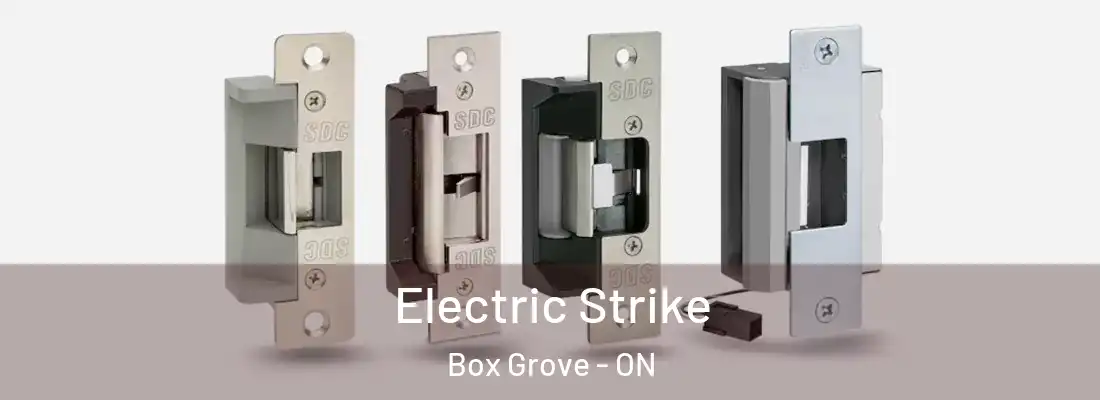  Electric Strike Box Grove - ON