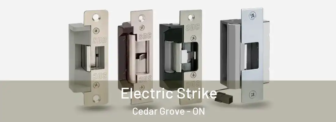  Electric Strike Cedar Grove - ON