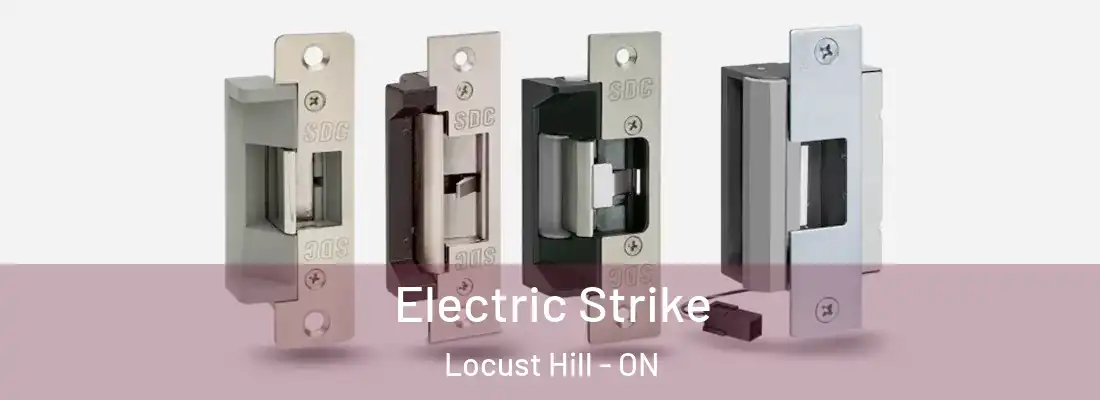  Electric Strike Locust Hill - ON