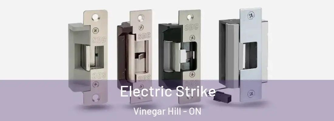  Electric Strike Vinegar Hill - ON