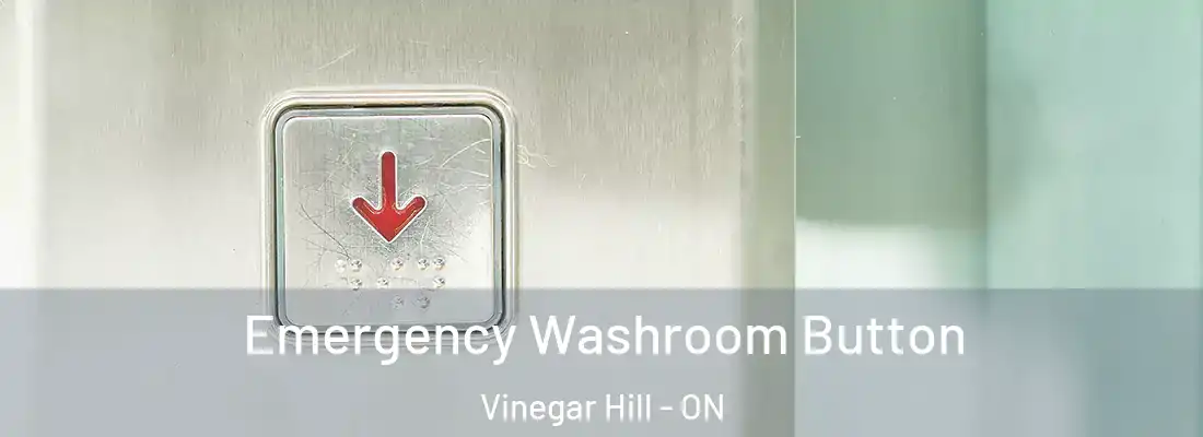  Emergency Washroom Button Vinegar Hill - ON