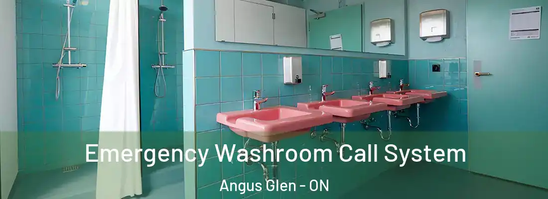  Emergency Washroom Call System Angus Glen - ON