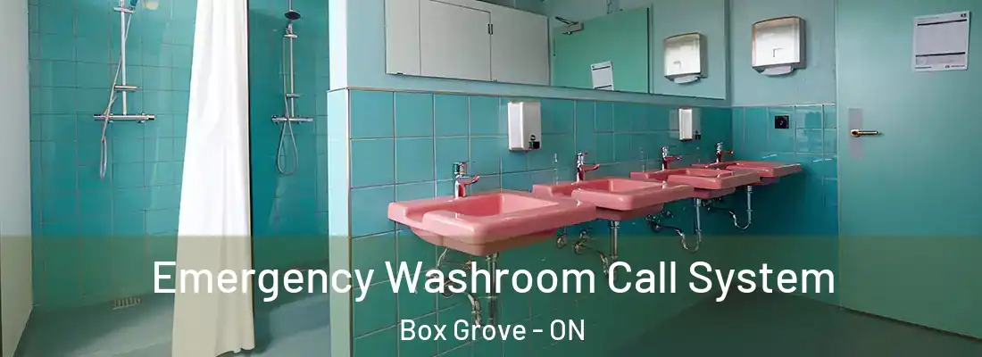  Emergency Washroom Call System Box Grove - ON