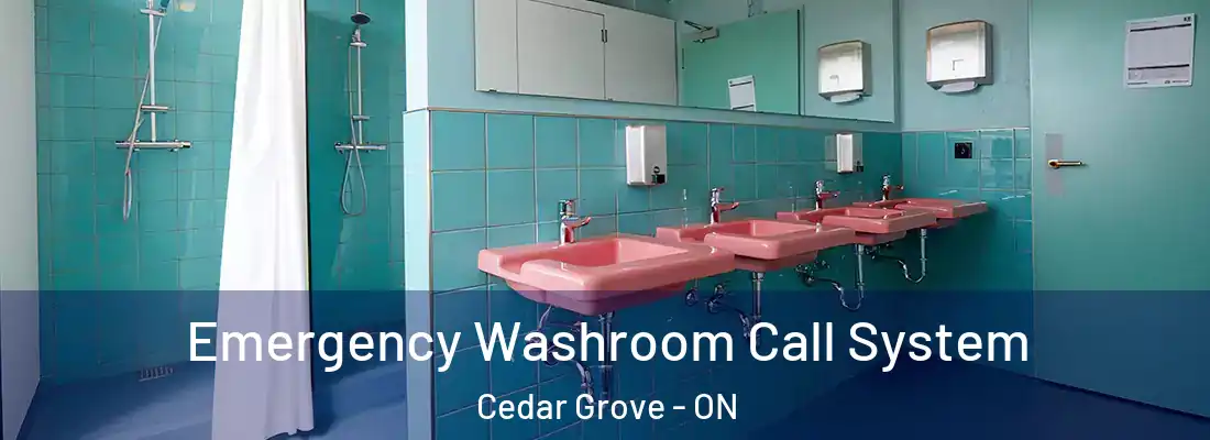  Emergency Washroom Call System Cedar Grove - ON