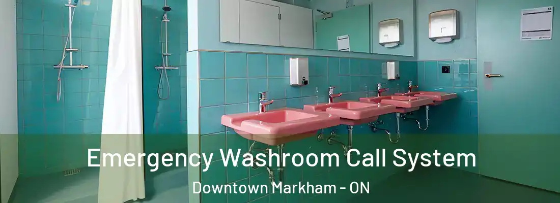  Emergency Washroom Call System Downtown Markham - ON