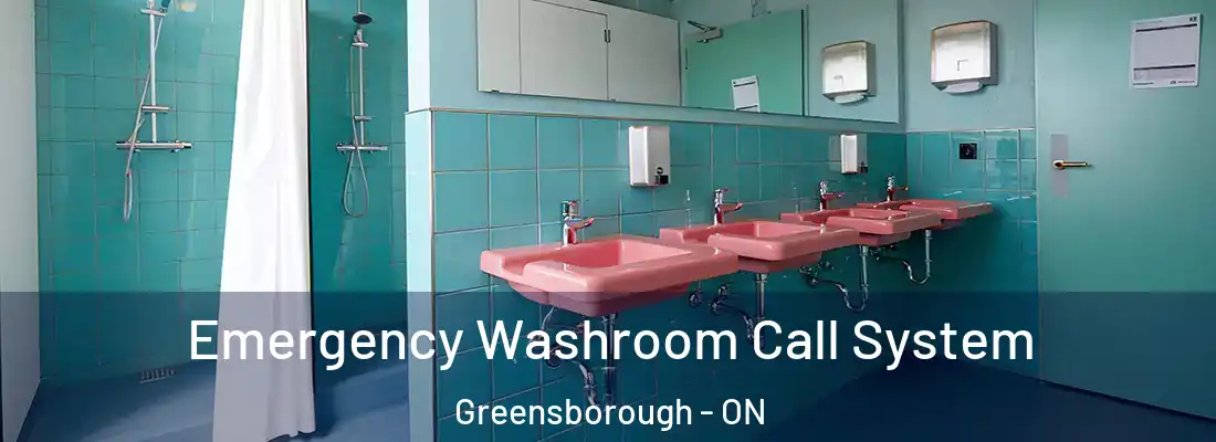  Emergency Washroom Call System Greensborough - ON