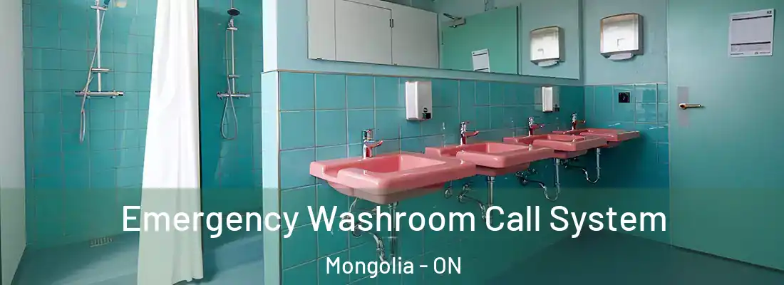  Emergency Washroom Call System Mongolia - ON