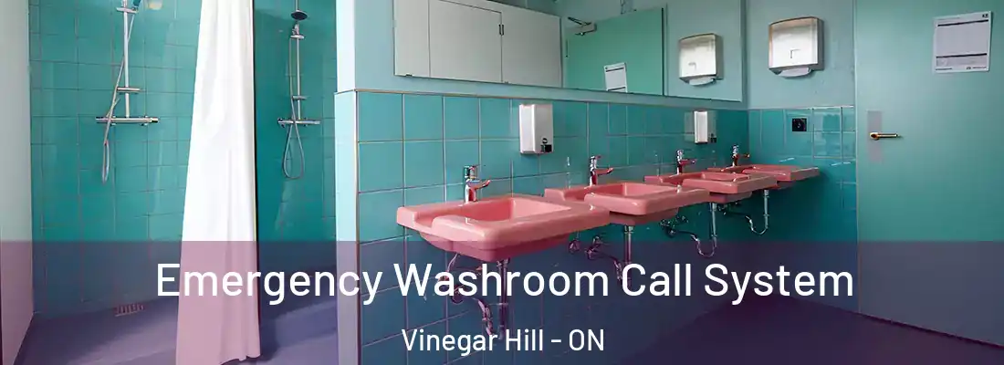  Emergency Washroom Call System Vinegar Hill - ON