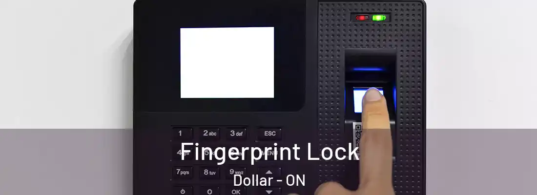  Fingerprint Lock Dollar - ON