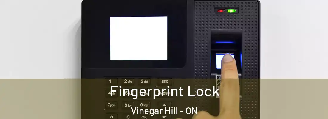  Fingerprint Lock Vinegar Hill - ON