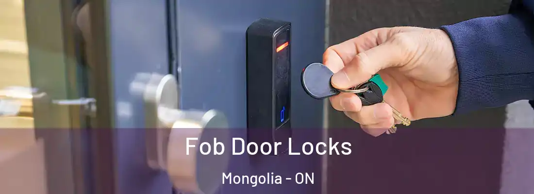  Fob Door Locks Mongolia - ON