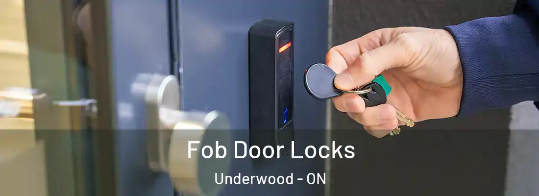  Fob Door Locks Underwood - ON