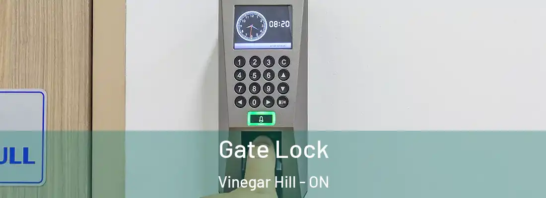  Gate Lock Vinegar Hill - ON