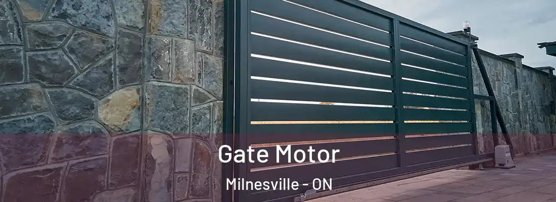  Gate Motor Milnesville - ON