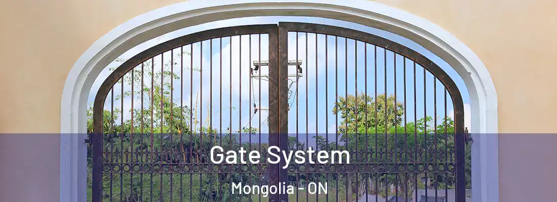  Gate System Mongolia - ON
