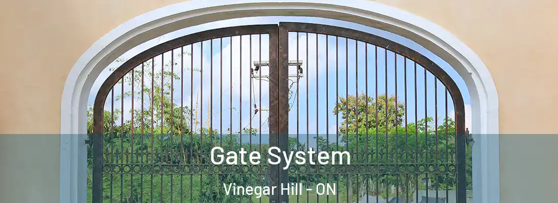  Gate System Vinegar Hill - ON
