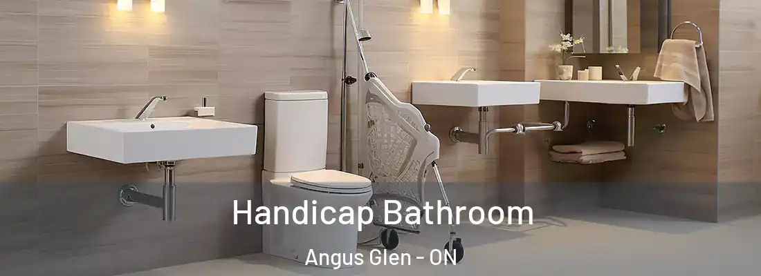  Handicap Bathroom Angus Glen - ON