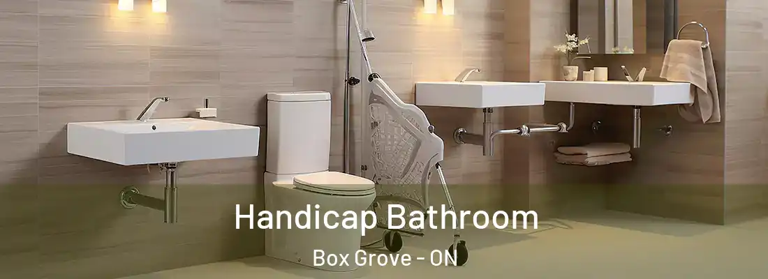  Handicap Bathroom Box Grove - ON
