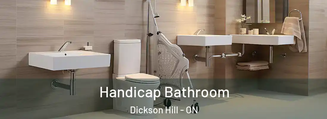  Handicap Bathroom Dickson Hill - ON