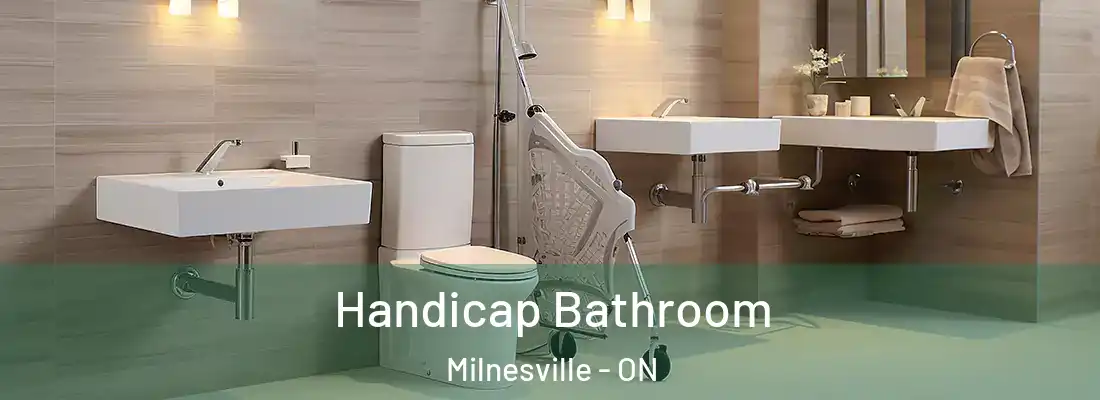  Handicap Bathroom Milnesville - ON