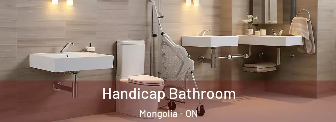  Handicap Bathroom Mongolia - ON