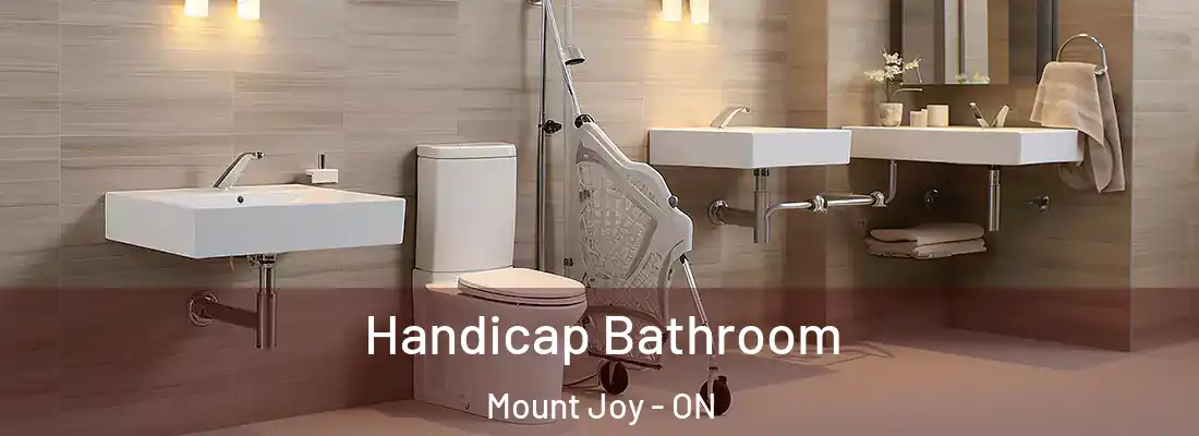  Handicap Bathroom Mount Joy - ON