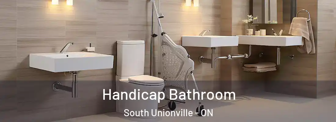  Handicap Bathroom South Unionville - ON