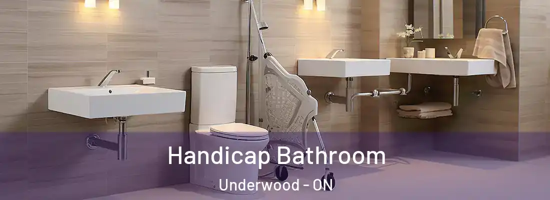  Handicap Bathroom Underwood - ON