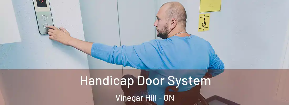  Handicap Door System Vinegar Hill - ON