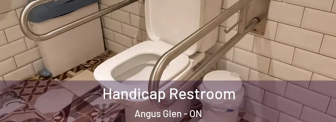  Handicap Restroom Angus Glen - ON