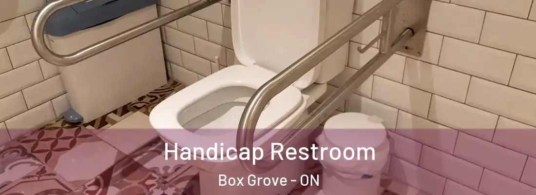  Handicap Restroom Box Grove - ON