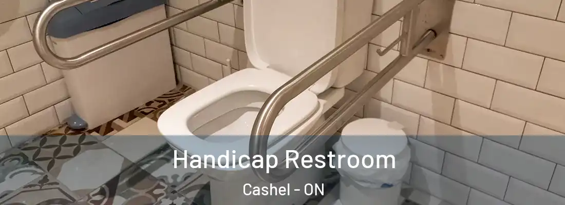  Handicap Restroom Cashel - ON