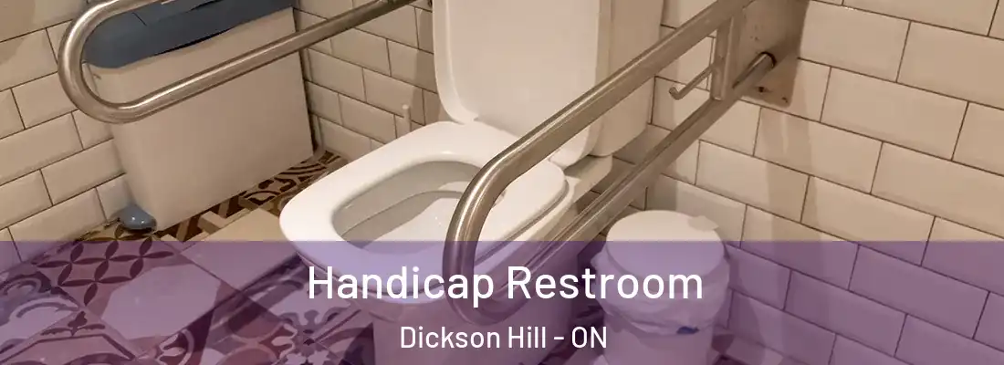  Handicap Restroom Dickson Hill - ON