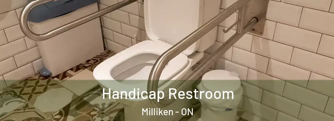  Handicap Restroom Milliken - ON
