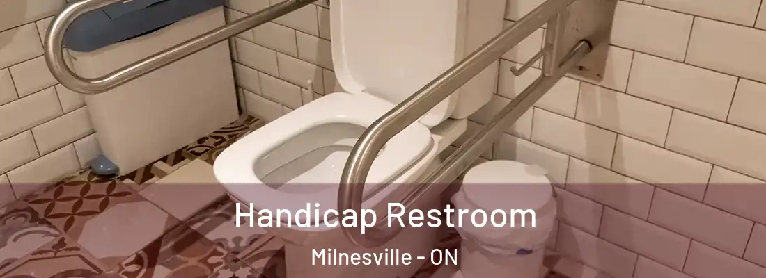  Handicap Restroom Milnesville - ON