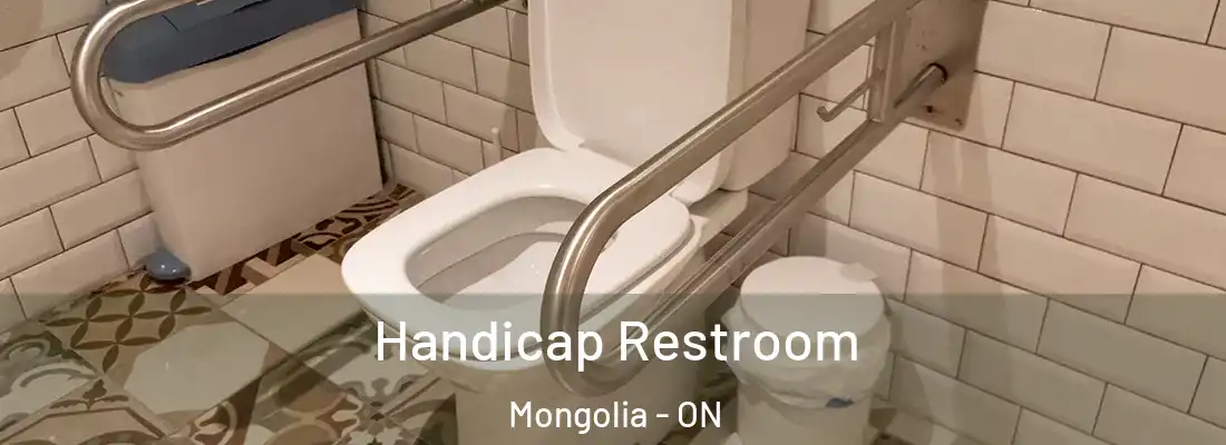  Handicap Restroom Mongolia - ON