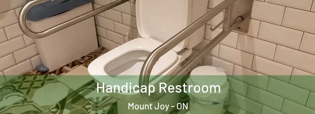  Handicap Restroom Mount Joy - ON