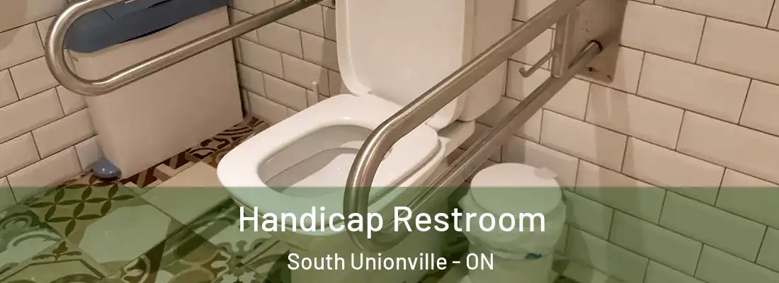  Handicap Restroom South Unionville - ON
