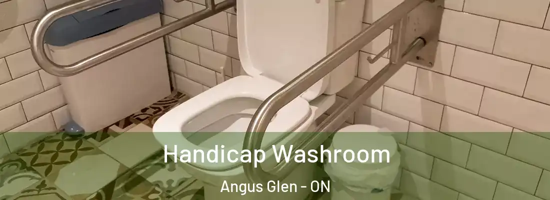  Handicap Washroom Angus Glen - ON