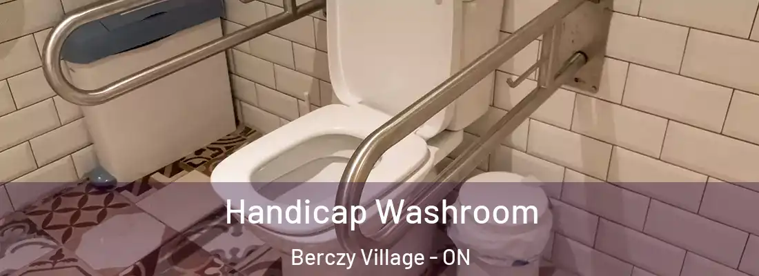  Handicap Washroom Berczy Village - ON