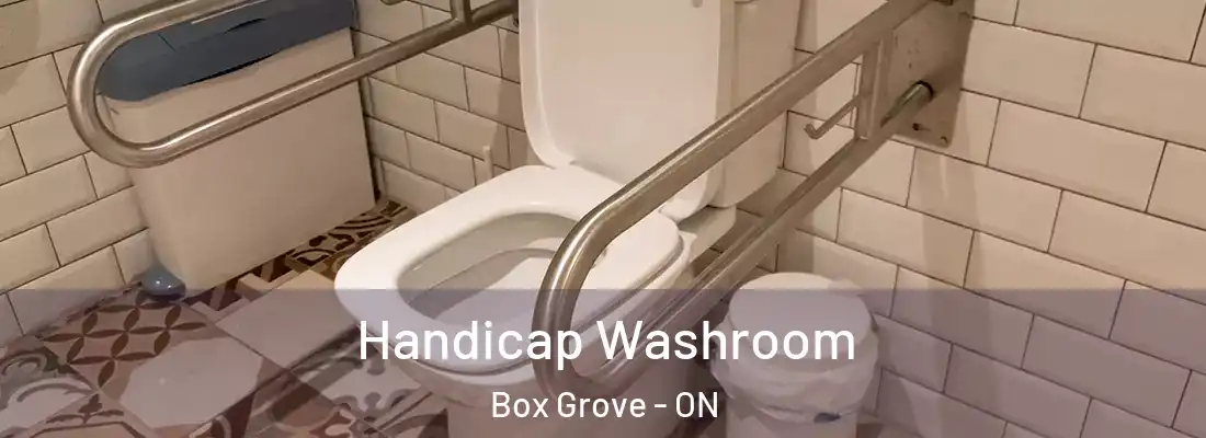  Handicap Washroom Box Grove - ON