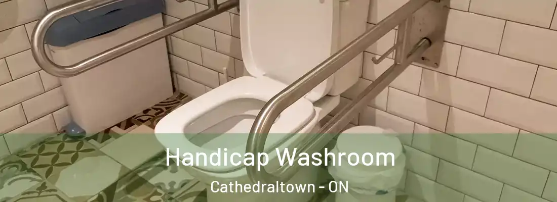  Handicap Washroom Cathedraltown - ON