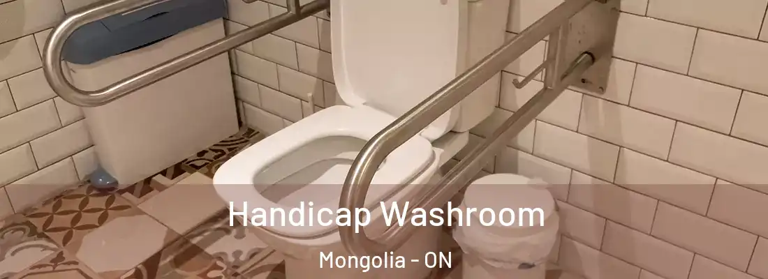  Handicap Washroom Mongolia - ON